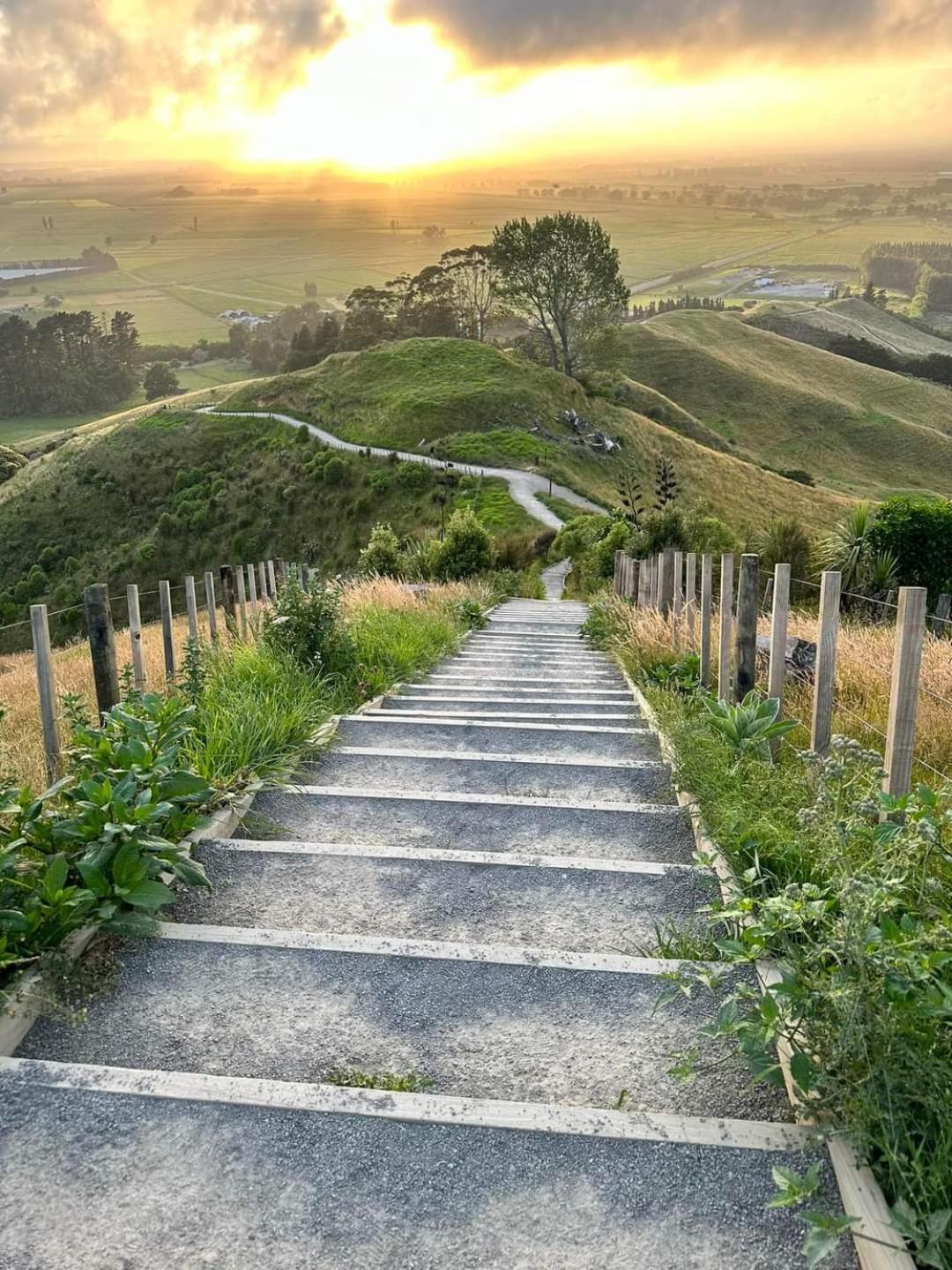 Omanu Cottage Mount Maunganui Zewnętrze zdjęcie